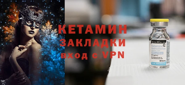 шишки Надым
