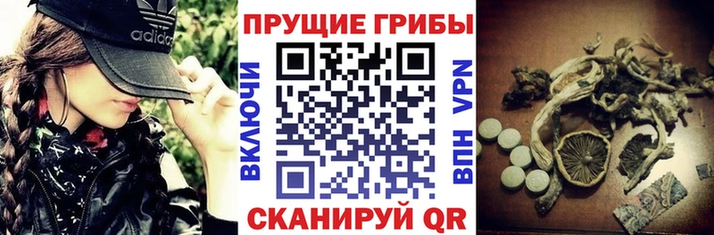 ссылка на мегу рабочий сайт  Волоколамск  Псилоцибиновые грибы Psilocybine cubensis 